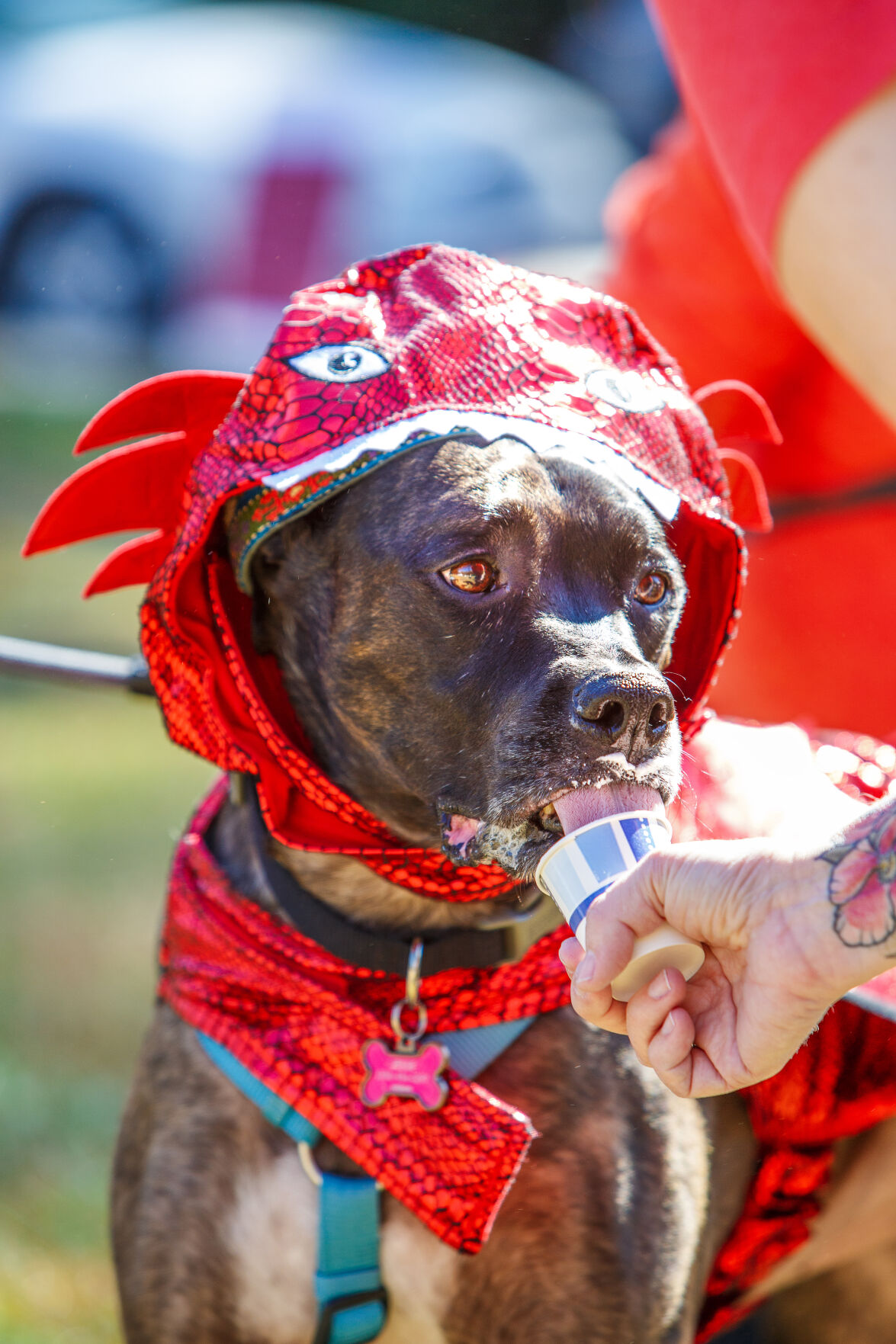 WSM Dogmore08 102322.jpg